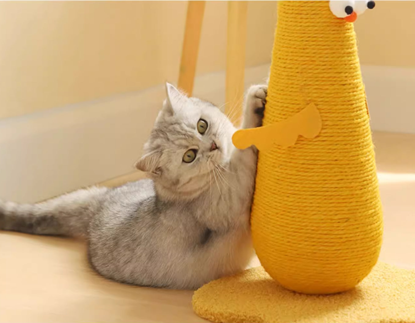 Cat Scratcher β Fun & Functional Cat Toy