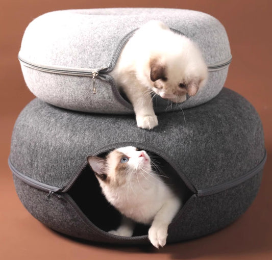 Cat Tunnel Donut