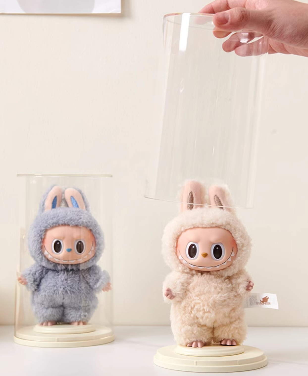 Doll Storage and Display Case