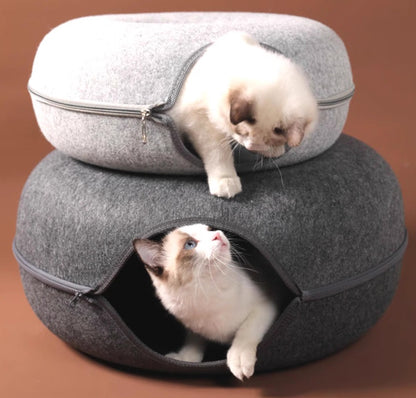 Cat Tunnel Donut