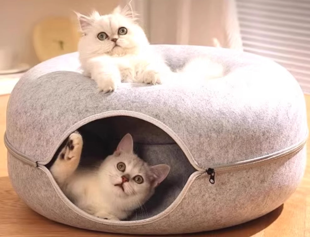 Cat Tunnel Donut