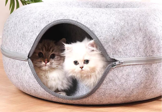 Cat Tunnel Donut